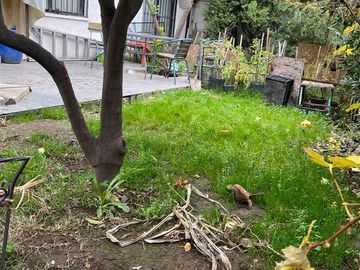 Casa en Venta en bilbao con Cuarto centenario