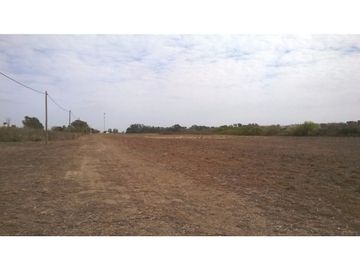 Oliveros: Terrenos de 482 m2 en Venta financiados en Barrio de Quintas, Oliveros, Santa Fe, Argentina