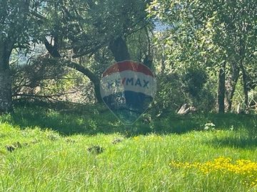 VENDE CASA EN PARCELA CURRAREHUE