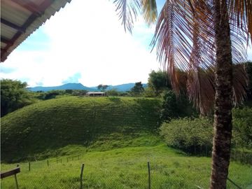 Finca Hotel en el Quindío en Venta