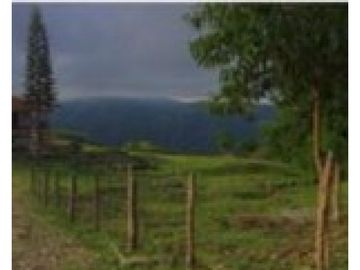 Finca en venta en Santa Barbara