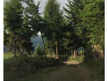 Finca en venta en Santa Barbara