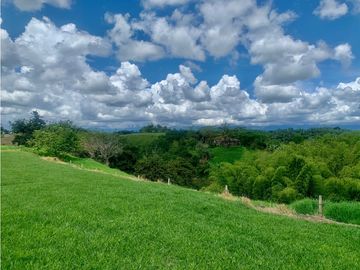 Finca en venta en El Quindío sector Vereda Calle Larga