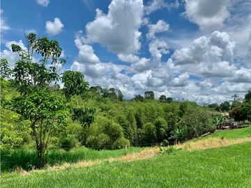Finca en venta en El Quindío sector Vereda Calle Larga