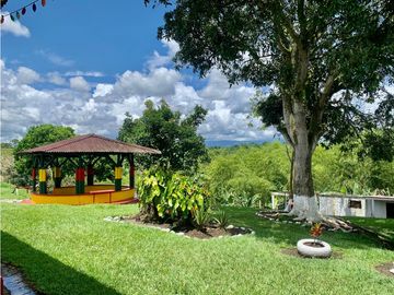Finca en venta en El Quindío sector Vereda Calle Larga