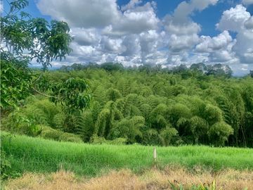 Finca en venta en El Quindío sector Vereda Calle Larga