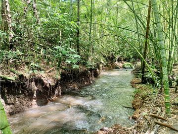 Finca en venta en El Quindío sector Vereda Calle Larga