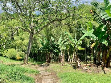 Finca en venta en El Quindío sector Vereda Calle Larga