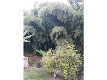 Venta Casa campestre  vía Barcelona Q