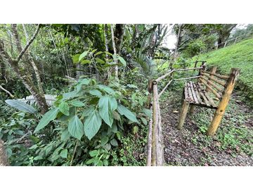 VENTA DE CASA CAMPESTRE EN SALENTO, QUINDO, COLOMBIA