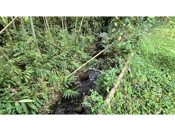 VENTA DE CASA CAMPESTRE EN SALENTO, QUINDO, COLOMBIA