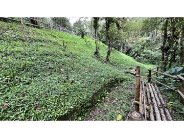 VENTA DE CASA CAMPESTRE EN SALENTO, QUINDO, COLOMBIA