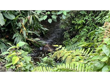 VENTA DE CASA CAMPESTRE EN SALENTO, QUINDO, COLOMBIA
