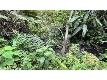 VENTA DE CASA CAMPESTRE EN SALENTO, QUINDO, COLOMBIA