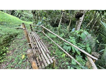 VENTA DE CASA CAMPESTRE EN SALENTO, QUINDO, COLOMBIA