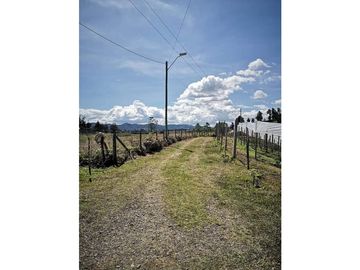 FINCA VEREDA SAN LUIS RIONEGRO