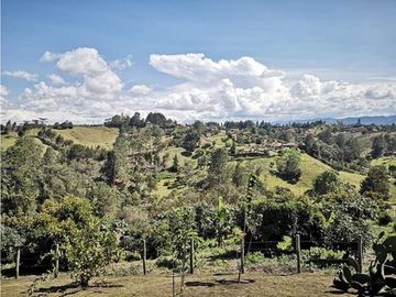 FINCA VEREDA SAN LUIS RIONEGRO