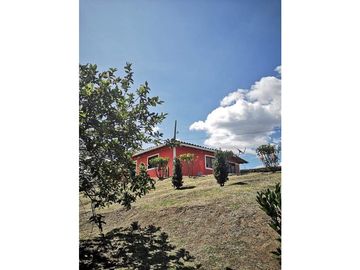 FINCA VEREDA SAN LUIS RIONEGRO