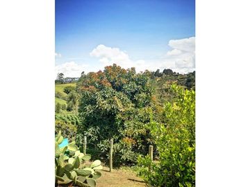 FINCA VEREDA SAN LUIS RIONEGRO