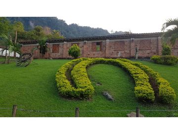Venta finca venecia El rincon