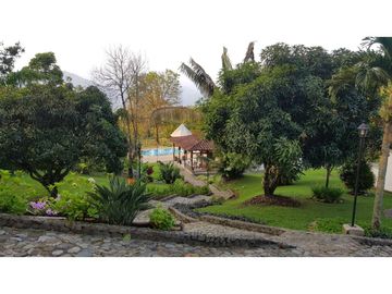 Venta finca venecia El rincon