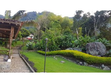 Venta finca venecia El rincon