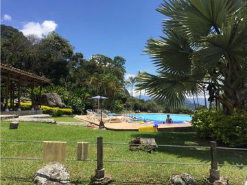 Venta finca venecia El rincon