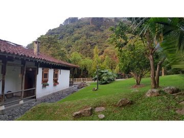 Venta finca venecia El rincon