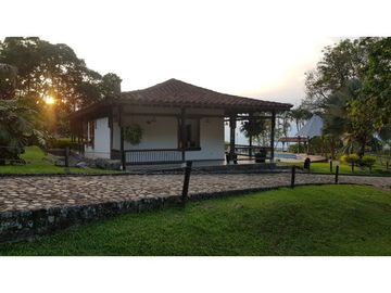 Venta finca venecia El rincon