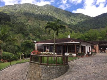 Venta finca venecia El rincon