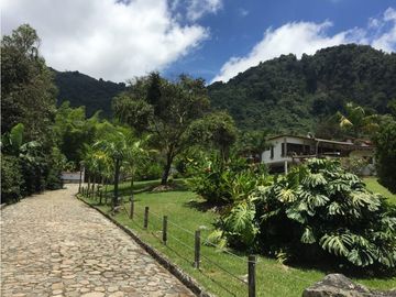 Venta finca venecia El rincon