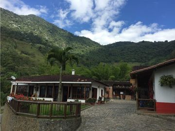 Venta finca venecia El rincon
