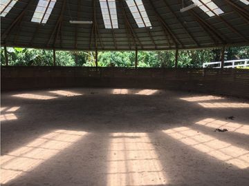 Venta finca venecia El rincon