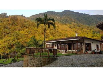 Venta finca venecia El rincon