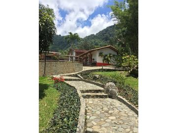 Venta finca venecia El rincon