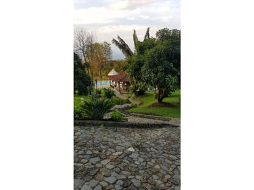 Venta finca venecia El rincon