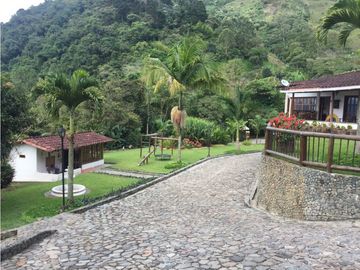 Venta finca venecia El rincon
