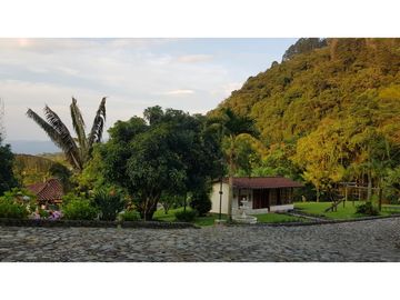 Venta finca venecia El rincon
