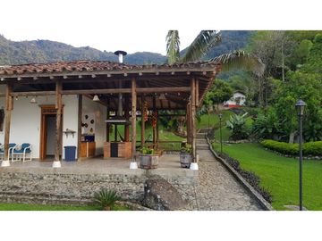 Venta finca venecia El rincon