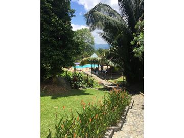 Venta finca venecia El rincon