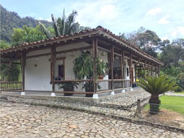 Venta finca venecia El rincon