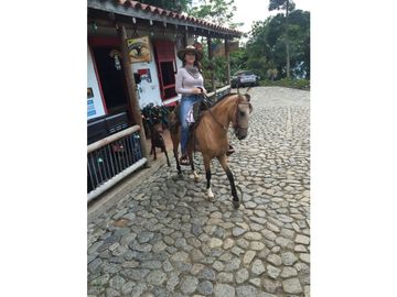 Venta finca venecia El rincon