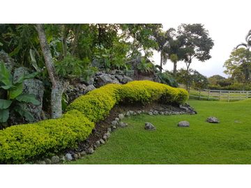 Venta finca venecia El rincon