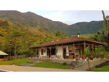 Venta finca venecia El rincon