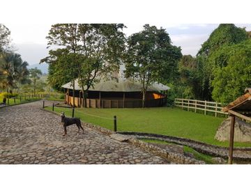 Venta finca venecia El rincon