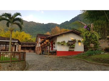 Venta finca venecia El rincon