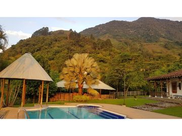 Venta finca venecia El rincon