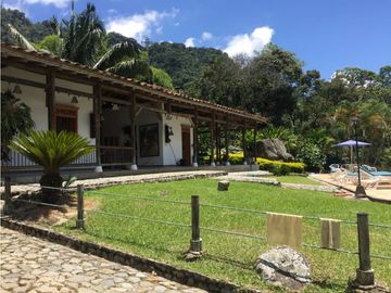 Venta finca venecia El rincon