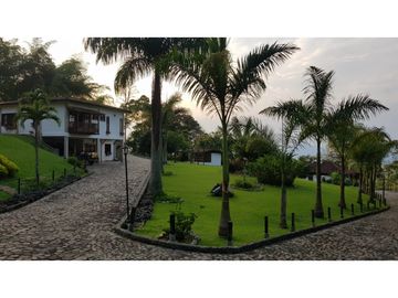 Venta finca venecia El rincon