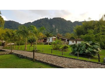 Venta finca venecia El rincon